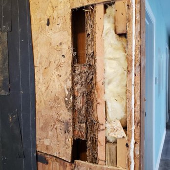 Dante Home Inspections - This is why termite inspection are so important - Home Inspectors Near Me Dante Home Inspections - This is why termite inspection are so important - Home Inspectors Near Me