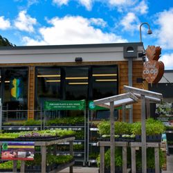 Food Co-op - Spring Views