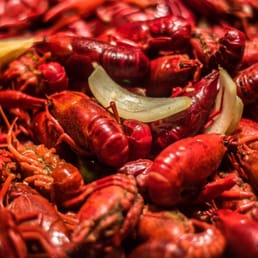 Crawfish