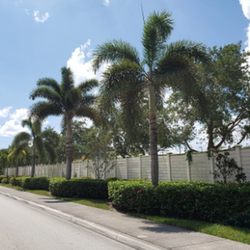 Nunez Lawn Care & Landscaping - untitled