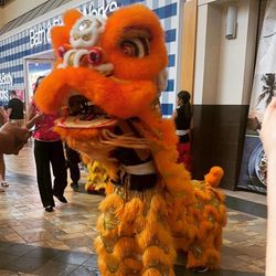 Au's Shaolin Arts Society - My daughter performing Chinese new year last year
