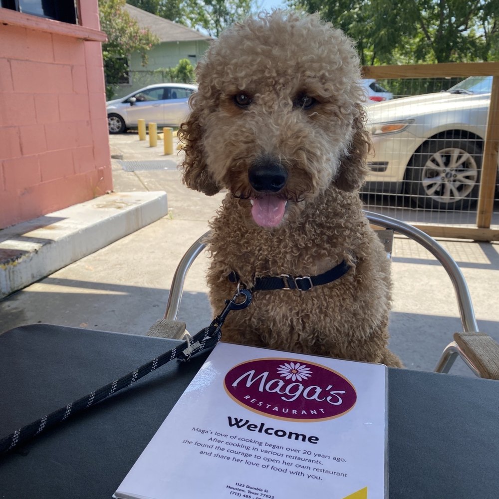 Maga's Cafe - My dood:) - Breakfast & Brunch Near Me - Houston, Texas Maga's Cafe - My dood:) - Breakfast & Brunch Near Me - Houston, Texas