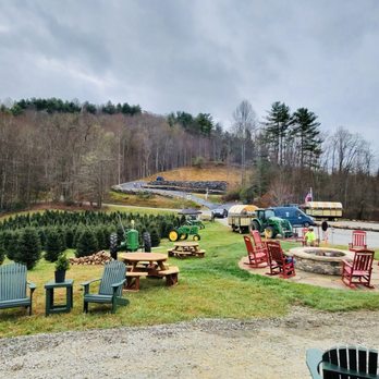 Bear Valley Farm - View from General Store - Christmas Trees Near Me - Glenville, North Carolina Bear Valley Farm - View from General Store - Christmas Trees Near Me - Glenville, North Carolina