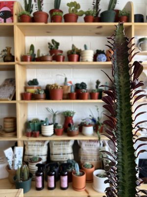 Akin Cooperative by null