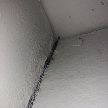 Pacific Pointe - MOLD IN THE KITCHEN - Apartments Near Me - San Clemente, California