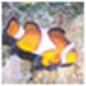 Aquarium Wilhelmi - Local Fish Stores Near Me - Dortmund, NW Aquarium Wilhelmi - Local Fish Stores Near Me - Dortmund, NW