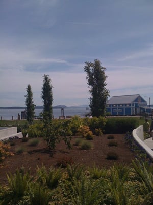 The Sidney Pier Hotel & Spa by null