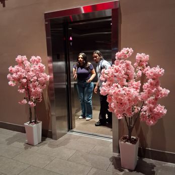 RA Steak & Sushi - Elevator - Japanese Near Me - Houston, Texas RA Steak & Sushi - Elevator - Japanese Near Me - Houston, Texas