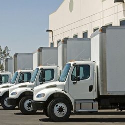 Cavemen Moving & Storage