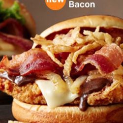 McDonald's - What my burger should've looked like but didn't