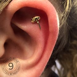 Cloud Nine Southside - Helix piercing by Karri