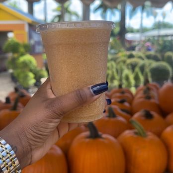 Flamingo Road Nursery - Frozen apple cider - Nurseries & Gardening Near Me - Davie, Florida Flamingo Road Nursery - Frozen apple cider - Nurseries & Gardening Near Me - Davie, Florida
