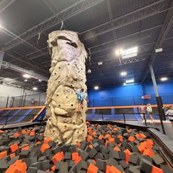 Sky Zone Brown Deer