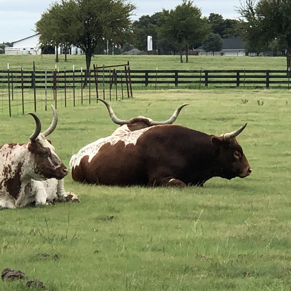 Southfork Ranch - Ranches Near Me - Parker, Texas Southfork Ranch - Ranches Near Me - Parker, Texas