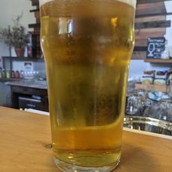 Moa Brewery - Dry hopped pilsner at Moa Brewery, Renwick NZ