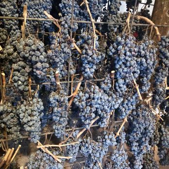 Tuscan Wine Tours - Grapes drying - Wine Tours Near Me - Florence, FI