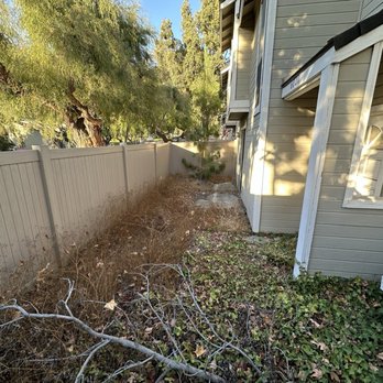 Gilberto Garden Landscape,tree Triming and Removal - Gardeners Near Me Gilberto Garden Landscape,tree Triming and Removal - Gardeners Near Me