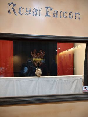 Medieval Times Dinner & Tournament by null