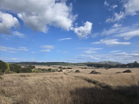 Tomales Bay Trailhead by null