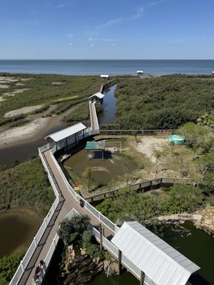 South Padre Island Birding And Nature Center by null