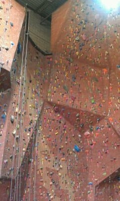 The Quarry Indoor Climbing Center by null