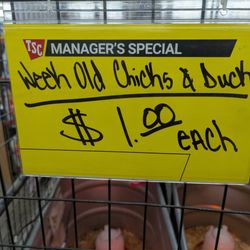 Tractor Supply