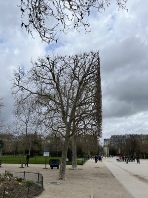 Champ de Mars by null