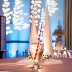 JMC Charleston - Our Winter Wonderland Parties are exciting, offering theme drinks, unique lighting and Snow!