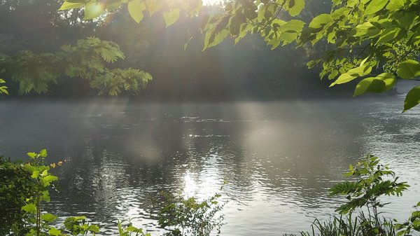 Chattahoochee River National Recreation Area by null