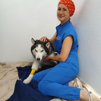 Maverick Veterinary Surgery Service - Veterinarians Near Me - Concord, California Maverick Veterinary Surgery Service - Veterinarians Near Me - Concord, California