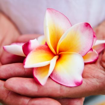 Healthier Bodies Inc.