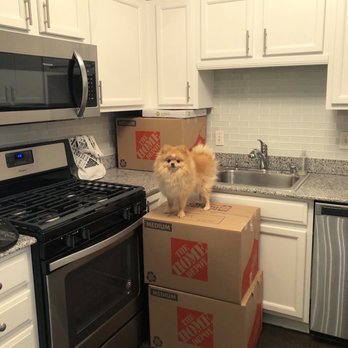 Jay Movers - Without me asking them, the movers placed the "Kitchen" boxes in the kitchen, "Bath" boxes in the bathroom, etc.! Even my pup loved them - Movers Near Me - Chicago, Illinois