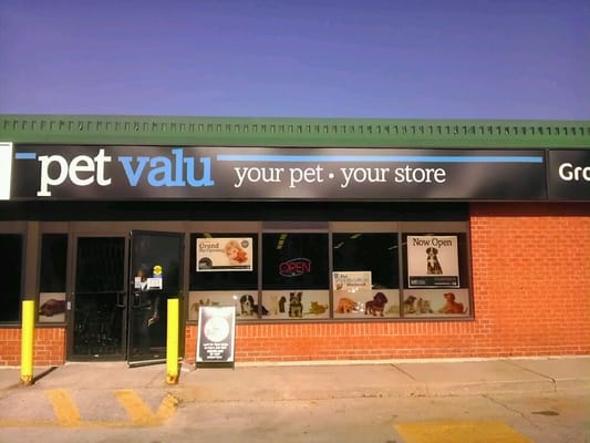 chameleon petsmart price