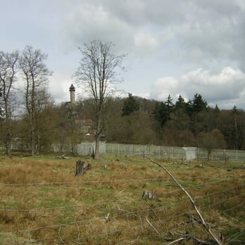 Wildfreigehege Wildenburg - Zoos Near Me