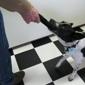 Pampered Pets Grooming - We take the time to pamper your pet! - Pet Groomers Near Me - Redding, California Pampered Pets Grooming - We take the time to pamper your pet! - Pet Groomers Near Me - Redding, California
