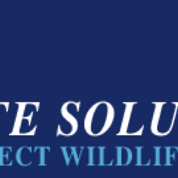 Weathertite Solutions, Inc - Roofing Near Me - Naples, Florida Weathertite Solutions, Inc - Roofing Near Me - Naples, Florida