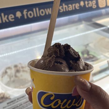 COWS - MOO CRUNCH - Chocolate ice cream, peanut butter cups and moo crunch - Ice Cream & Frozen Yogurt Near Me - Niagara On the Lake, Ontario COWS - MOO CRUNCH - Chocolate ice cream, peanut butter cups and moo crunch - Ice Cream & Frozen Yogurt Near Me - Niagara On the Lake, Ontario