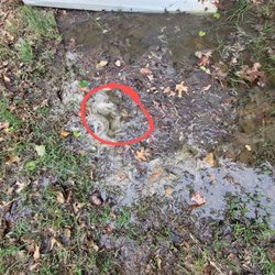 MainStream Sewer and Drain Service