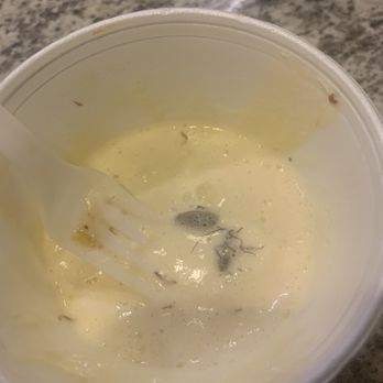 Cajun Crab Pub & Grill - Vanilla ice cream with roach toppings - Cajun/Creole Near Me - Irving, Texas Cajun Crab Pub & Grill - Vanilla ice cream with roach toppings - Cajun/Creole Near Me - Irving, Texas