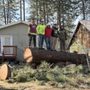 Photo of Medrano Trees Service