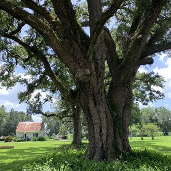 St. Joseph Plantation - Tours Near Me - Vacherie, Louisiana St. Joseph Plantation - Tours Near Me - Vacherie, Louisiana