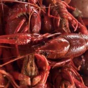 Hans' Crawfish Services - Nice size - Cajun/Creole Near Me - Tomball, Texas Hans' Crawfish Services - Nice size - Cajun/Creole Near Me - Tomball, Texas