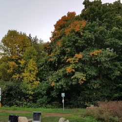 Angell Woods - Beaconsfield's Angel Woods...another west island gem!