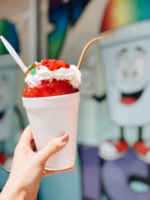 Sno Dreamz by null