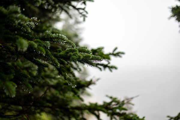 Owls Head State Park by null