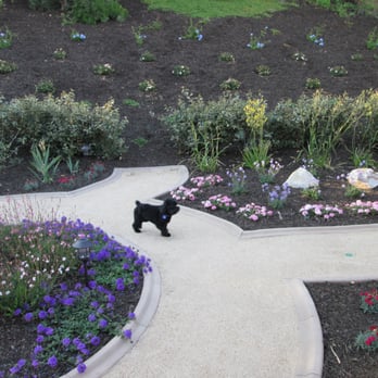 McCabe's Landscape Construction - Backyard DG path, hedge and slope by McCabe's June 2015. - Landscaping Near Me - Murrieta, California