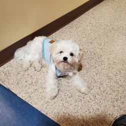 Kidz Dental Haven - Chewy waiting to see his 1st Patient