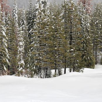 Balsam Meadows Snow Park - your views here while playing in the snow - Ski Resorts Near Me - Shaver Lake, California Balsam Meadows Snow Park - your views here while playing in the snow - Ski Resorts Near Me - Shaver Lake, California