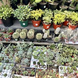 JRN Nursery 2