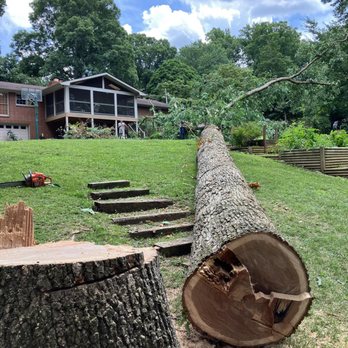 Tree Hero - Tree Services Near Me - Knoxville, Tennessee Tree Hero - Tree Services Near Me - Knoxville, Tennessee